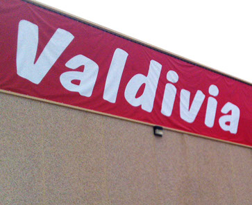 Lonas publicitarias personalizadas Valdivia